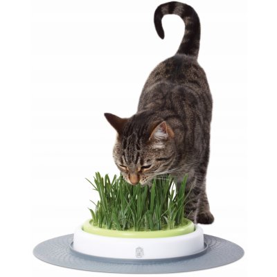 Catit Grass Garden Kit pre mačky 5,5 x 37 x 37 cm