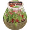 Sviečka bolsius Teracce Citronella, 94/91 mm, paradajka
