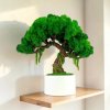 Dekoračný bonsaj 32 cm s prirodzeným vzhľadom, zo stabilizovaného machu