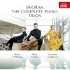 Giltburg Boris, Jarůšková Vero: Dvořák: Klavírní tria komplet: CD