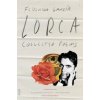 Collected Poems of Lorca (Federico Garcia Lorca,Christopher Maurer,Catherine Brown)(Brožovaná)