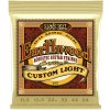 Ernie Ball 2007 Earthwood 80/20 Bronze Strings Custom Light