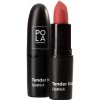 Pola Cosmetics Tender Kiss matný rúž 106 3,8 g