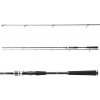 DAIWA Exceler Spin dĺžka 2,40 m, záťaž 40-80 g