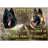 Pozorpes.sk, výstražná tabuľka (Belgický ovčiak)