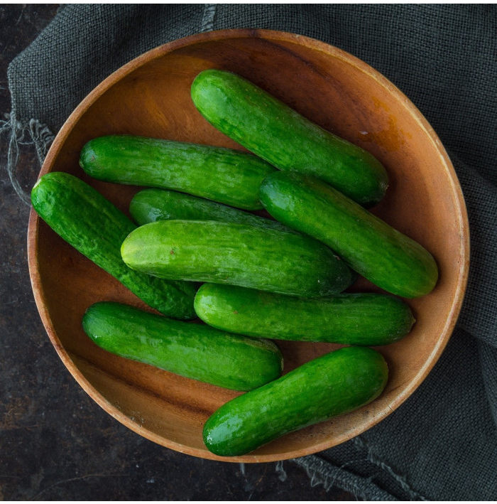 Uhorka šalátová Baby F1 - Cucumis sativus - semená uhorky - 10 ks