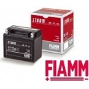 Motobaterie FIAMM FTX9-BS