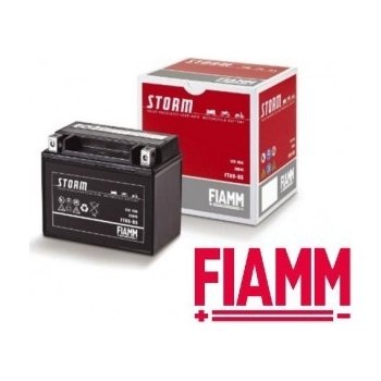 FIAMM FTX9-BS