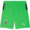 Puma | Borussia Mönchengladbach Shorts Away Replica 2025/26 | zelená| L