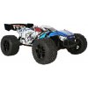 DF Models RC auto truggy TW-1 Truggy 5.1 brushed XL RTR 1:10