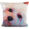 Zamatová obliečka na vankúš pes, mačka 45x45 cm - multikolor psík