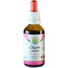 Echinacea purpurová - tinktúra bez alkoholu Salvia Paradise Objem: 50ml