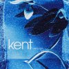 Verkligen - Kent LP