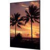 Jansen Display Textilné dekorácie na stenu A1 Palmy západ slnka, 594 x 841 mm