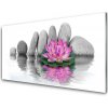 Sklenený obklad Do kuchyne Kvet kamene umenie 100x50 cm