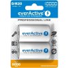 everActive D 10000 mAh 2 ks EVHRL20-10000