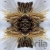 Yakuza: Sutra - Yakuza