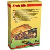 Lucky Reptile Fruit Mix 35 g