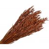 Sušený aranžérsky ovos - klasy 150g - hnedé