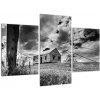Opustený dom - obraz (Obraz 90x60cm)