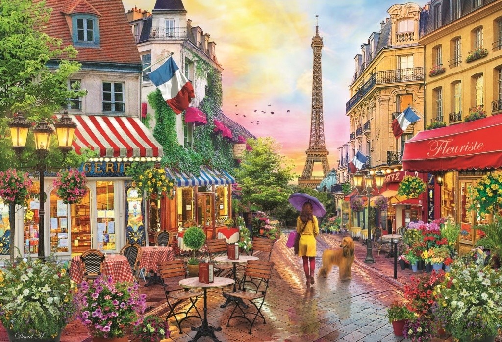 Puzzle: Kouzelná Paříž / 1500 dílků