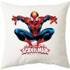 JAKS Vankúš 40 x 40 cm Vzor: Spider man