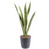 Umelá kvetina Sansevieria deluxe v kvetináči, zeleno žltá 60cm