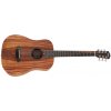 Taylor BTe-Koa