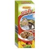 Avicentra Deluxe tyčinky ovocné pre malé hlodavce 2 x 60 g
