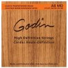 GODIN Strings Acoustic Guitar A6 MD