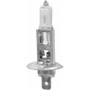 Compass H1 P14,5s 12V 55W