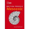 British Mesozoic Fossils