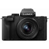 Panasonic LUMIX DC-G100K (G100 + 12-32 mm) 14914