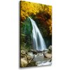 Vertikálny foto obraz na plátne Vodopád v lese 50x100 cm