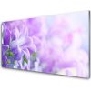 Nástenný panel Kvety rastlina príroda 100x50 cm