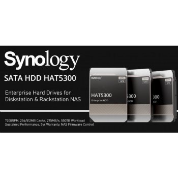 Synology HAT5300 8TB, HAT5300-8T