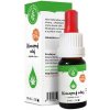 Zelená Země CBD Konopný olej 20%, 10 ml, 2000 mg