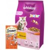 WHISKAS Junior chicken 14kg + DREAMIES 30 g ZADARMO!