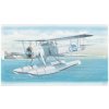 Sword Směr Fairey fish Mk.2 Limited slepovací stavebnice letadlo 1:48