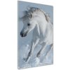 Vertikálny foto obraz akrylový Biely kôň cval 50x100 cm