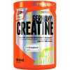 Extrifit Creatine Germany 300 g
