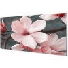 Nástenný panel ružové kvety 100x50 cm