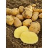 Konzumné zemiaky AGRIA - slovenský farmár 25 KG