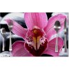 Sablio Prestieranie Ružová orchidea: 40x30cm
