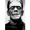 Frankenstein: (Special Edition) (Mary Shelley,Larvae Editions)(Brožovaná)