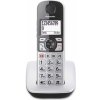 Panasonic KX-TGE510GS