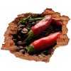 Nálepka fototapeta 3D na stenu Chilli a káva 90x70 cm