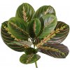 Umelá kvetina Maranta, 28cm