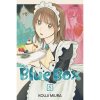 Viz Media Blue Box 8