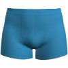 Pánske boxerky Icebreaker M Mer 125 Cool-Lite Anatomica Boxers Veľkosť: L / Farba: svetlomodrá